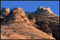 Hoodoos near Canyon View, early morning. Zion National Park, Utah, USA. (color)