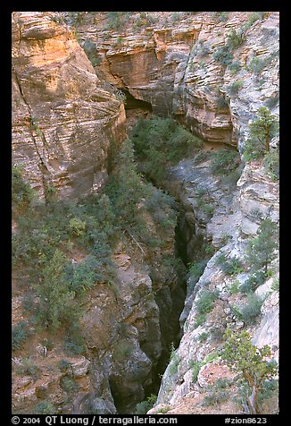 Slot Canyon seen from above. Zion National Park, Utah, USA.