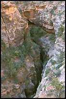 Slot Canyon seen from above. Zion National Park, Utah, USA.