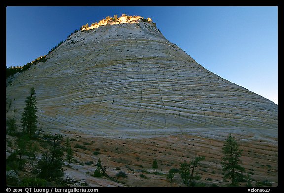 Checkerboard Mesa, sunrise. Zion National Park (color)