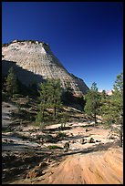 Checkerboard Mesa, morning. Zion National Park, Utah, USA. (color)