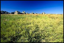 Tall grass prairie near Cedar Pass. Badlands National Park ( color)