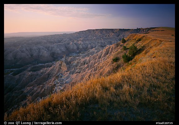 Prairie grasses and erosion canyon at sunrise, Stronghold Unit. Badlands National Park, South Dakota, USA.