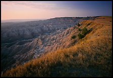 Prairie grasses and erosion canyon at sunrise, Stronghold Unit. Badlands National Park, South Dakota, USA.