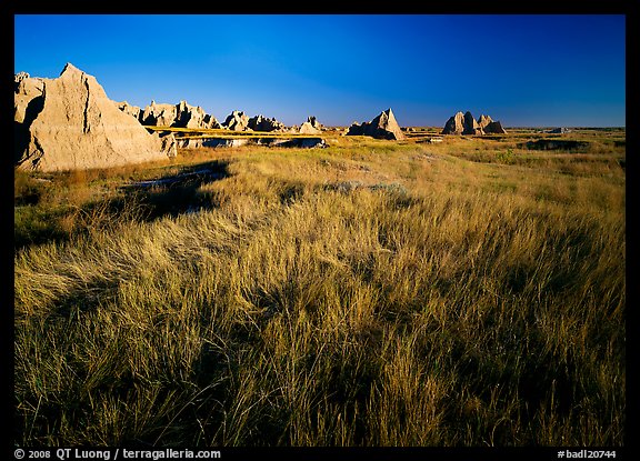 Tall grass prairie and badlands near Cedar Pass. Badlands National Park (color)