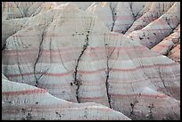 Paleosols fossil soils mixed with Brule Formation. Badlands National Park ( color)