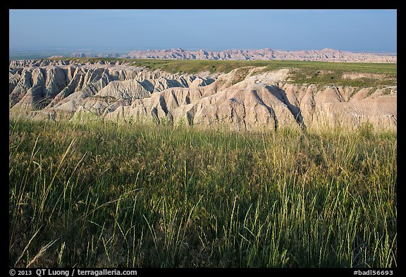 Mixed grass prairie alternating with badlands. Badlands National Park, South Dakota, USA.