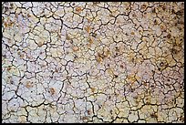 Cracks in yellow fossil soil. Badlands National Park, South Dakota, USA.