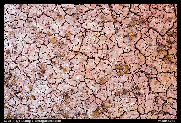 Cracks in multi-colored paleosol. Badlands National Park, South Dakota, USA.
