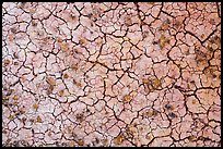 Cracks in multi-colored paleosol. Badlands National Park, South Dakota, USA.