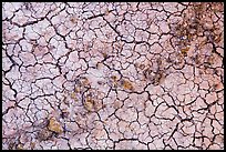 Rocks and mud cracks. Badlands National Park, South Dakota, USA.