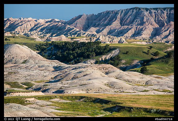 Badlands and Juniper forest. Badlands National Park, South Dakota, USA.