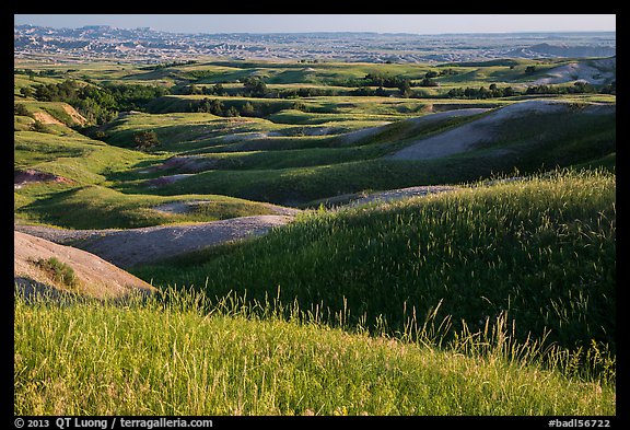 Grassy hills in early summer, Badlands Wilderness. Badlands National Park, South Dakota, USA.