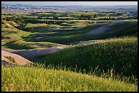 Grassy hills in early summer, Badlands Wilderness. Badlands National Park, South Dakota, USA. (color)