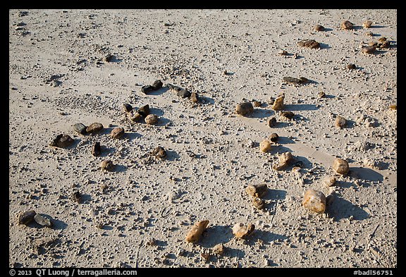 Rocks on flat, textured soil. Badlands National Park, South Dakota, USA.