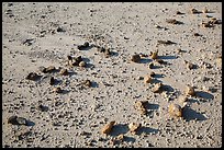 Rocks on flat, textured soil. Badlands National Park ( color)