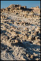 Concretions. Badlands National Park, South Dakota, USA. (color)