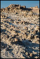 Concretions. Badlands National Park ( color)