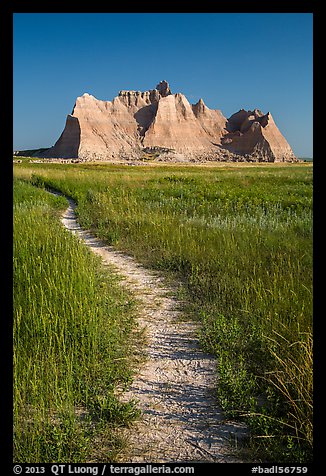 Trail winding in prairie next to butte. Badlands National Park, South Dakota, USA.