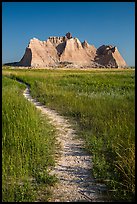 Trail winding in prairie next to butte. Badlands National Park, South Dakota, USA.