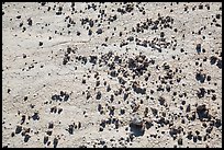 Rocks on cracked soil. Badlands National Park, South Dakota, USA. (color)