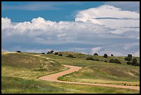 Sage Creek Rim Road. Badlands National Park, South Dakota, USA. (color)