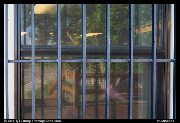 Cottonwood, White River Visitor Center window reflexion. Badlands National Park (color)