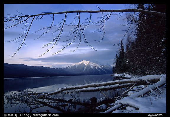 Shore of lake McDonald in winter. Glacier National Park, Montana, USA.