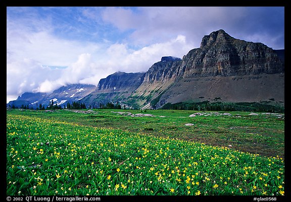 Garden wall from Logan pass. Glacier National Park, Montana, USA.