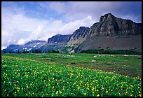 Garden wall from Logan pass. Glacier National Park, Montana, USA.