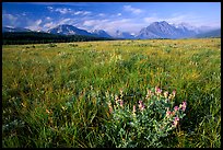 Prairie and Lewis range. Glacier National Park ( color)