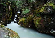 Avalanche creek. Glacier National Park ( color)