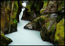 Avalanche Creek. Glacier National Park ( color)