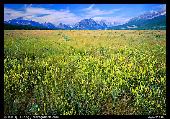 Lewis range seen from the eastern flats, morning. Glacier National Park (color)