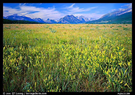 Lewis range seen from the eastern flats, morning. Glacier National Park (color)