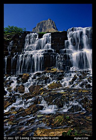 Waterfall at hanging gardens, Logan pass. Glacier National Park (color)