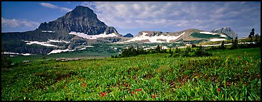 Alpine landscape with wildflower meadows and peak. Glacier National Park, Montana, USA.