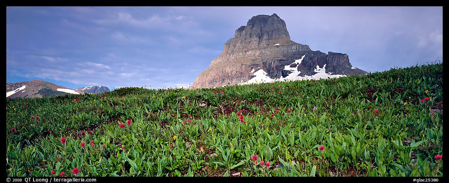 Alpine scenery with triangular peak rising above meadows. Glacier National Park, Montana, USA.