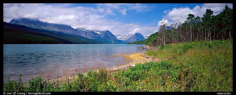 Mountain lake with wildflowers on shore. Glacier National Park, Montana, USA.