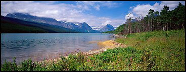 Mountain lake with wildflowers on shore. Glacier National Park (Panoramic color)