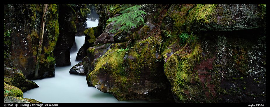 Lush gorge with frosted water. Glacier National Park, Montana, USA.