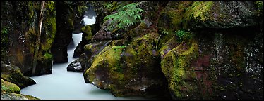 Lush gorge with frosted water. Glacier National Park, Montana, USA.