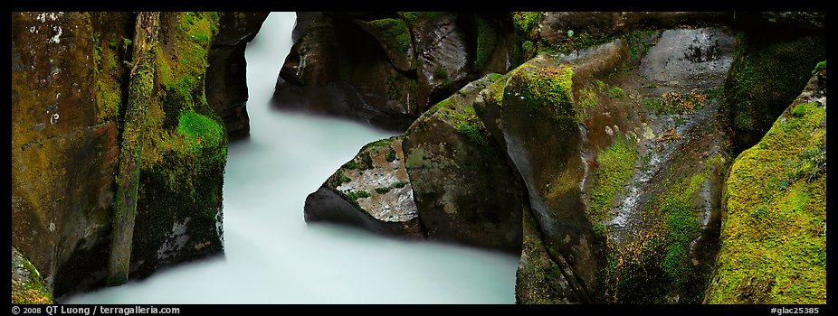 Stream flowing in mossy gorge. Glacier National Park, Montana, USA.