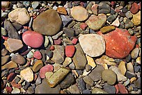 Colorful pebbles in a stream. Glacier National Park, Montana, USA. (color)