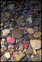 Colorful pebbles and shadow. Glacier National Park, Montana, USA. (color)