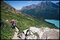 Women hiking on the Grinnell Glacier trail. Glacier National Park, Montana, USA. (color)