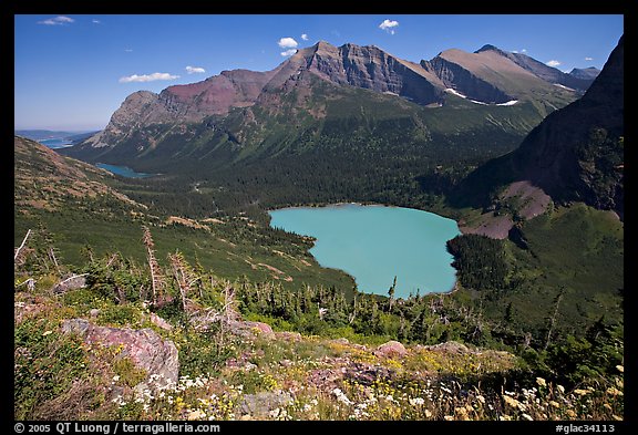 Alpine wildflowers, Grinnell Lake, and Allen Mountain. Glacier National Park, Montana, USA.