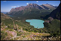 Alpine wildflowers, Grinnell Lake, and Allen Mountain. Glacier National Park, Montana, USA. (color)