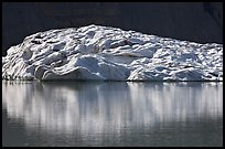 Grinnell Glacier reflected in Upper Grinnel Lake. Glacier National Park, Montana, USA.