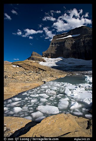 Icebergs in Upper Grinnel Lake, with glacier and Mt Gould in background. Glacier National Park, Montana, USA.